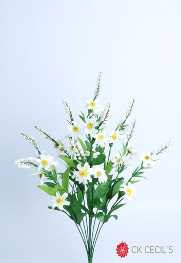 [4130109] MINI DAISY BUSH X 11 X 53 CM. CREAM