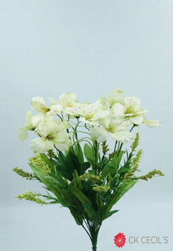 [4130110] ALSTROMERIA BUSH X 12 X 50 CM. CREAM