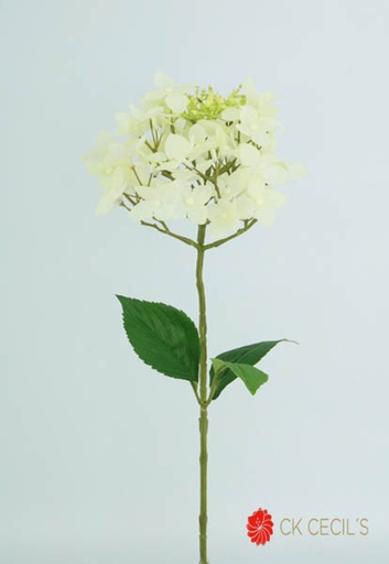 [4130243] MOUNTAIN HYDRANGEA SPRAY 66 CM CREAM GREEN