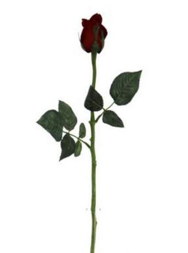 [413459] MARY ROSE BUD 57 CM. RED