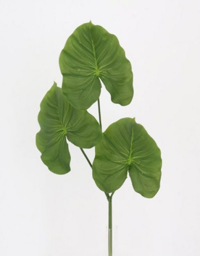 [413468] CALLA LILY LEAF X3  61CM. GREEN