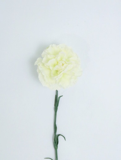 [413754] CARNATION SINGLE 59 CM. WHITE