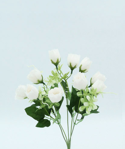 [413874] ROSE BUSH X 5 31 CM. WHITE