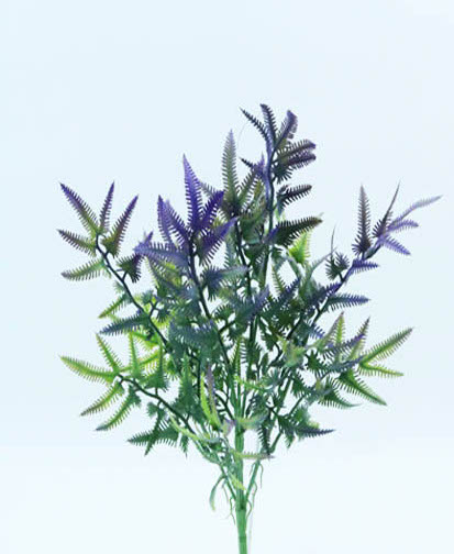 [413898] HELECHO BUSH X 5 41 CM. LAVANDER