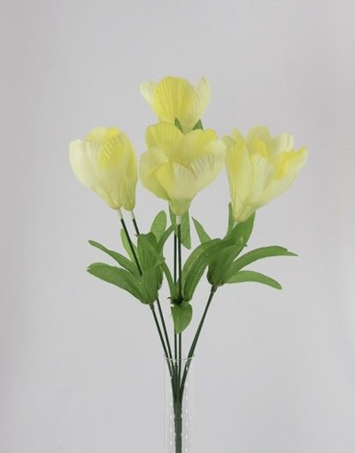 [413054] CROCUS BUSH X 6 X 36 CM. YELLOW