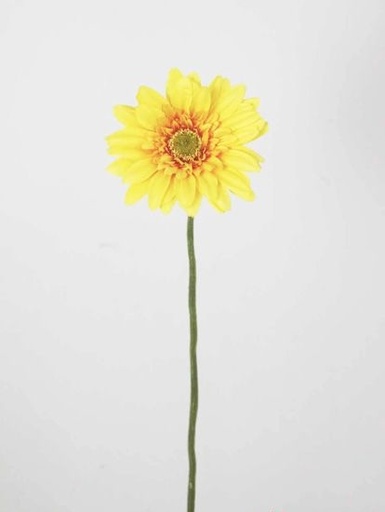 [413086] GERBERA DAISY X 1 GO/YE