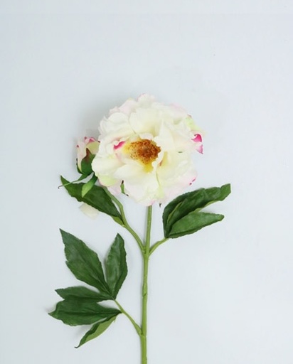 [413087] PEONY SPRAY X 2 FL 71 CM (WH/CERISE)