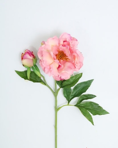 [413088] PEONY SPRAY X 2 FL 71 CM PINK